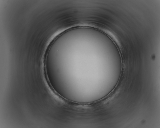 X0000094971133200711291131