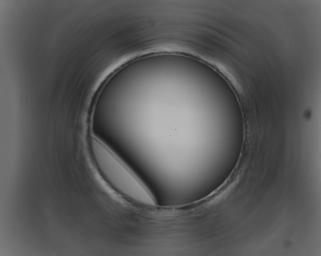 X0000094971134200711291131