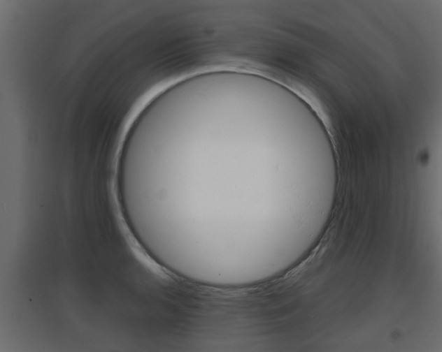 X0000094971136200711291131