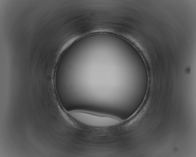 X0000094971137200711291131