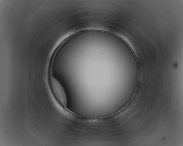 X0000094971139200711291131