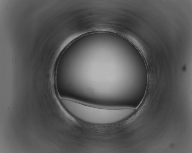 X0000094971141200711291131