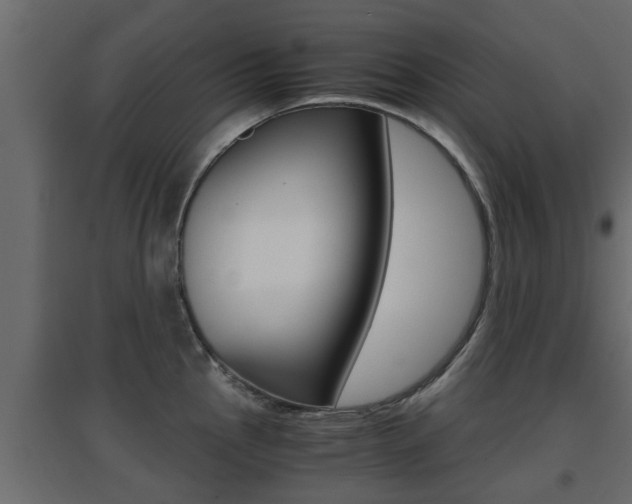 X0000094971145200711291132