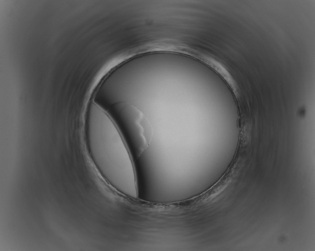 X0000094971146200711291132
