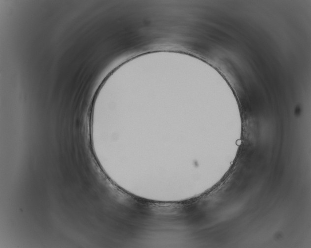 X0000094971150200711291132