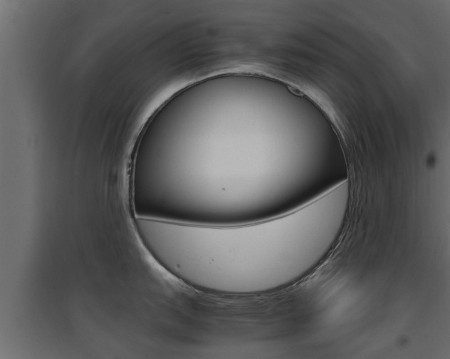 X0000094971151200711291132