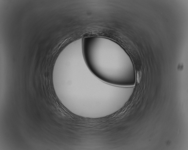 X0000094971155200711291131
