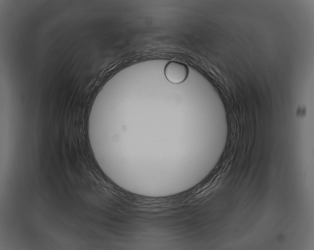X0000094971156200711291131