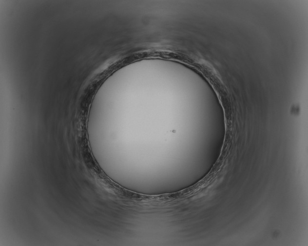 X0000094971159200711291131