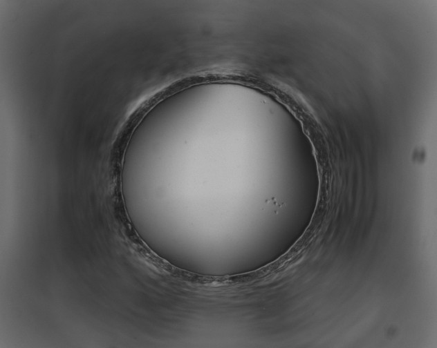 X0000094971160200711291131