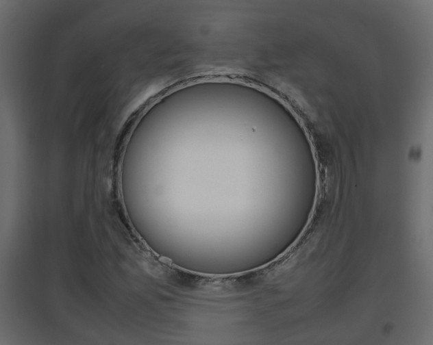 X0000094971165200711291131