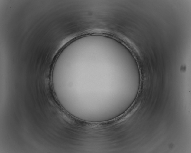 X0000094971170200711291131