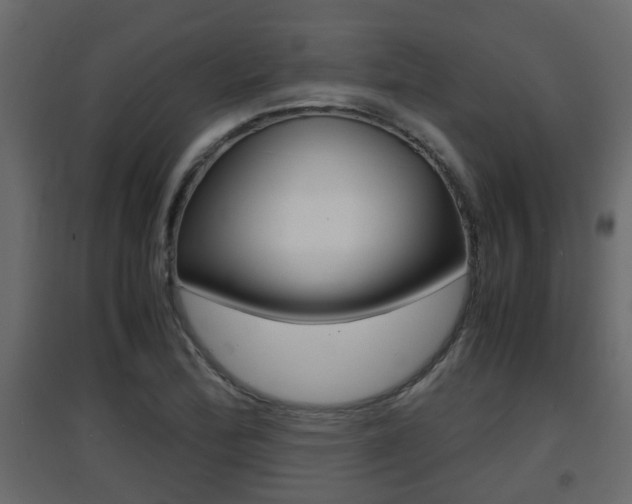 X0000094971172200711291131