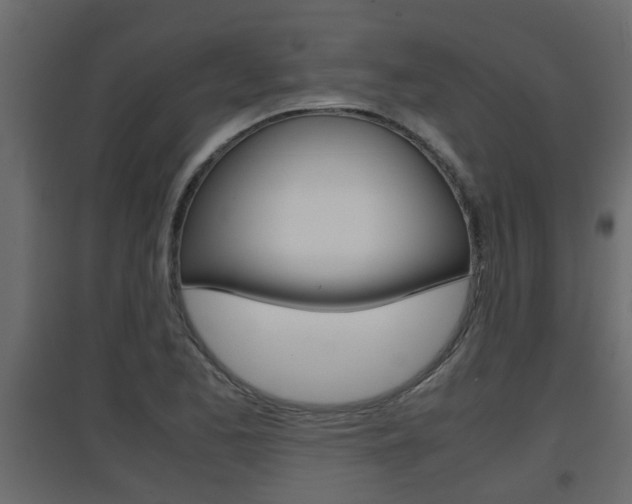 X0000094971173200711291131