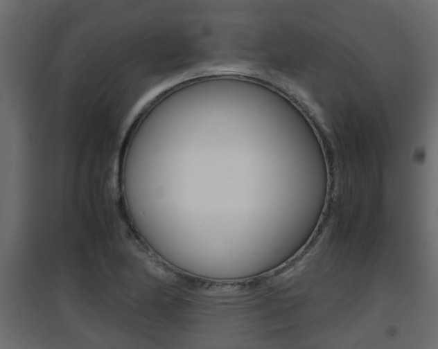 X0000094971174200711291131