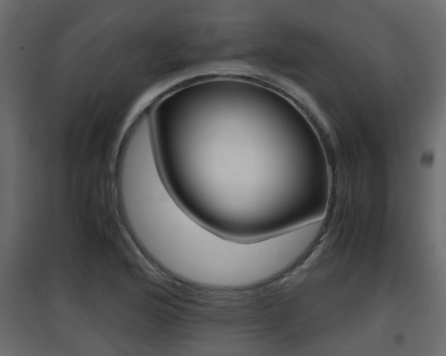 X0000094971176200711291131