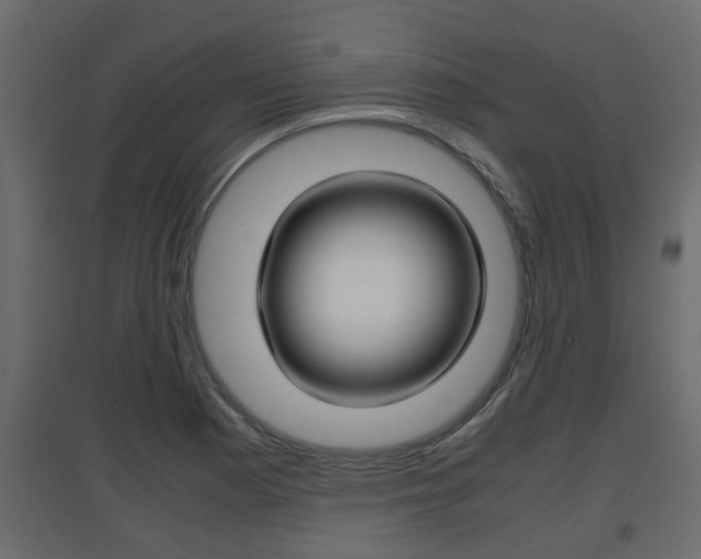 X0000094971177200711291131