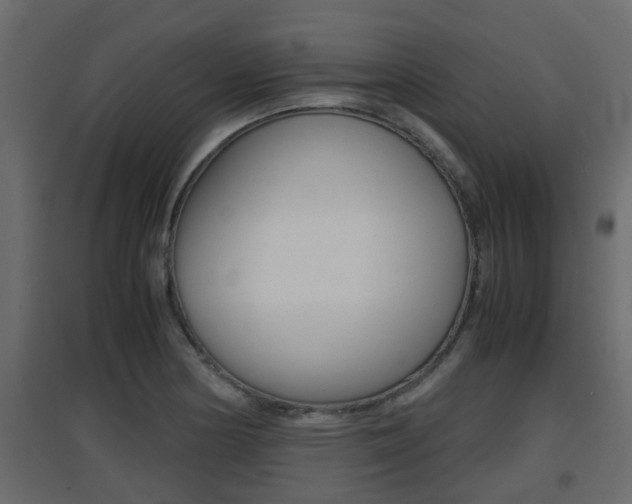 X0000094971178200711291131