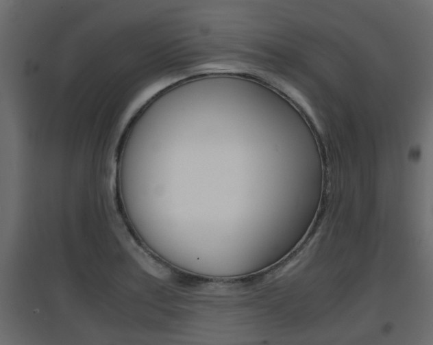 X0000094971179200711291131