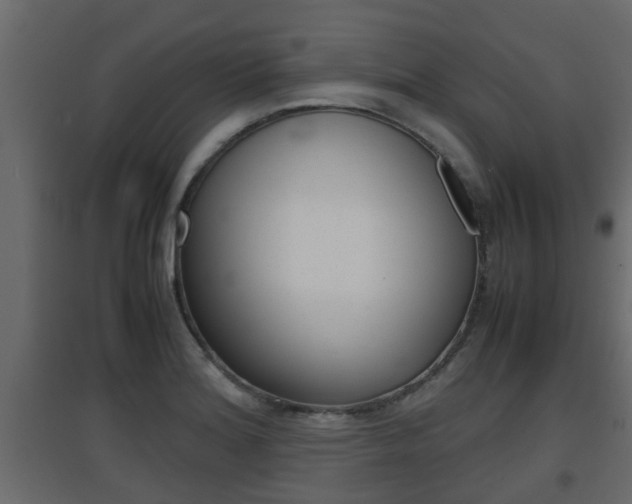 X0000094971180200711291131