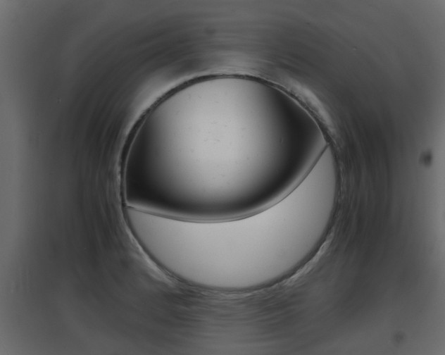 X0000094971184200711291131