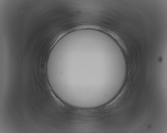 X0000094971185200711291130