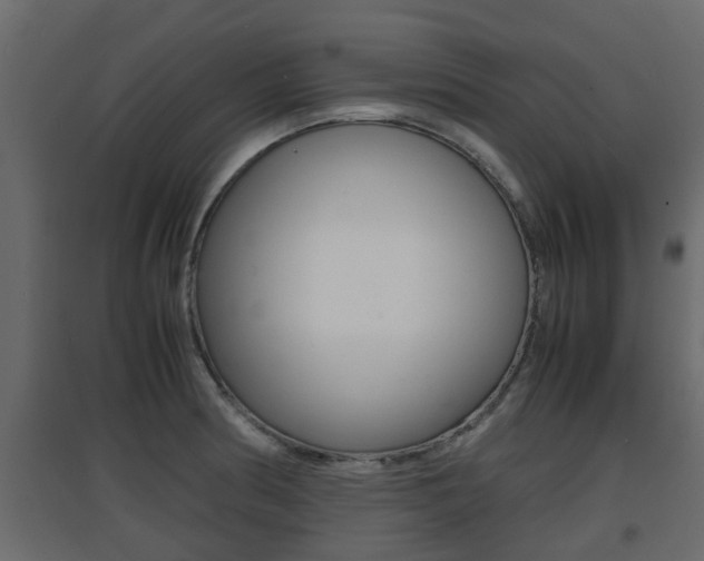 X0000094971186200711291130