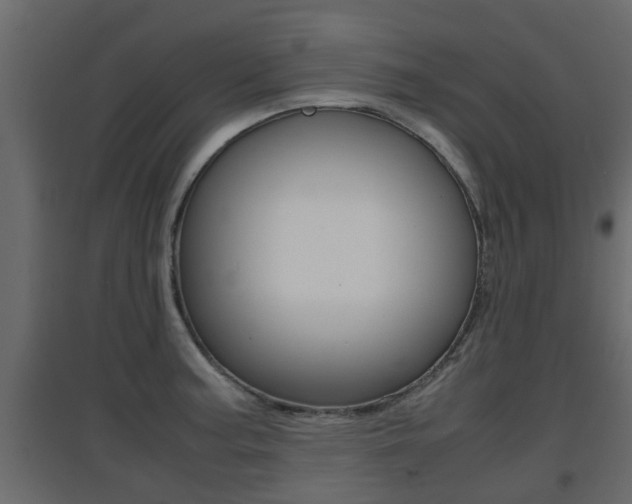 X0000094971187200711291130
