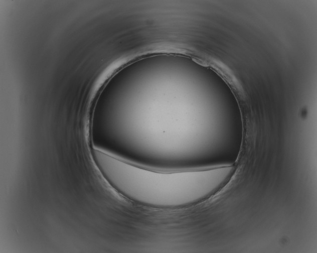 X0000094971188200711291130