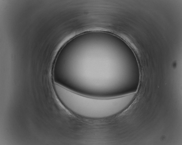 X0000094971189200711291130