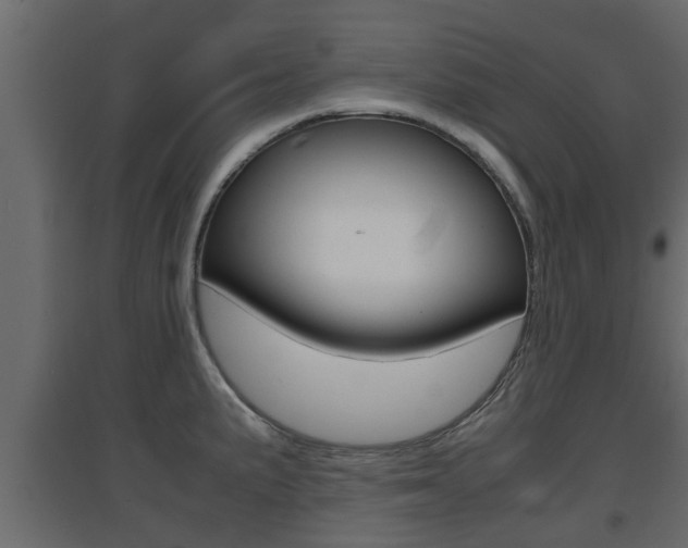 X0000094971191200711291130