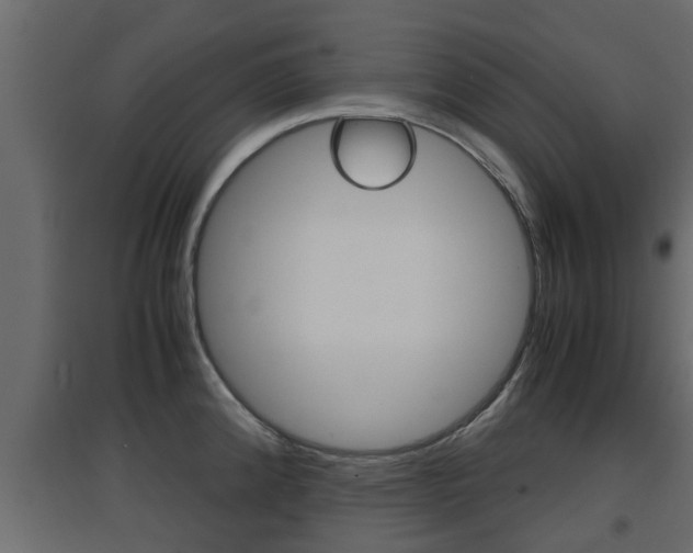 X0000094971192200711291130