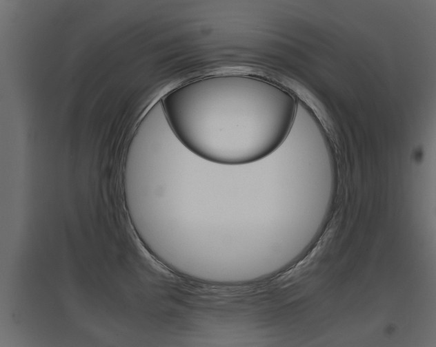 X0000094971193200711291130