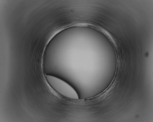 X0000094971194200711291130