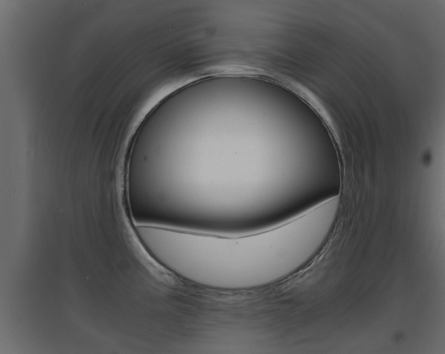 X0000094971195200711291130