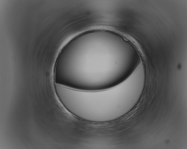 X0000094971199200711291130