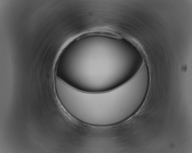 X0000094971200200711291130