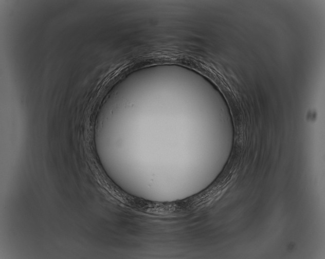 X0000094971201200711291129