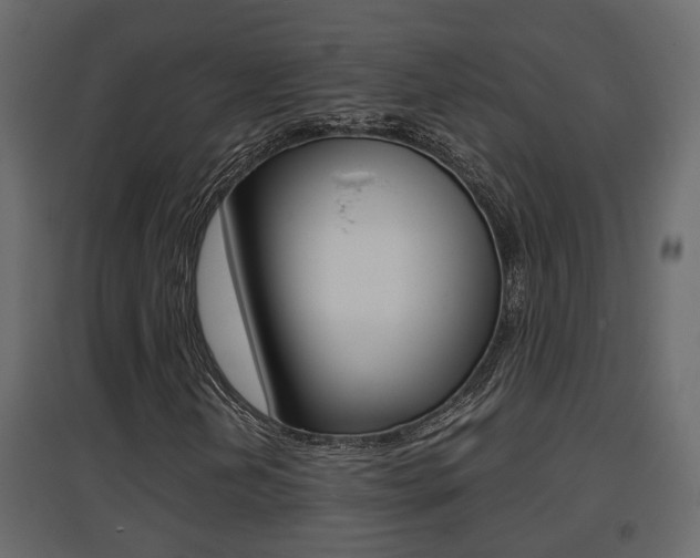 X0000094971202200711291129