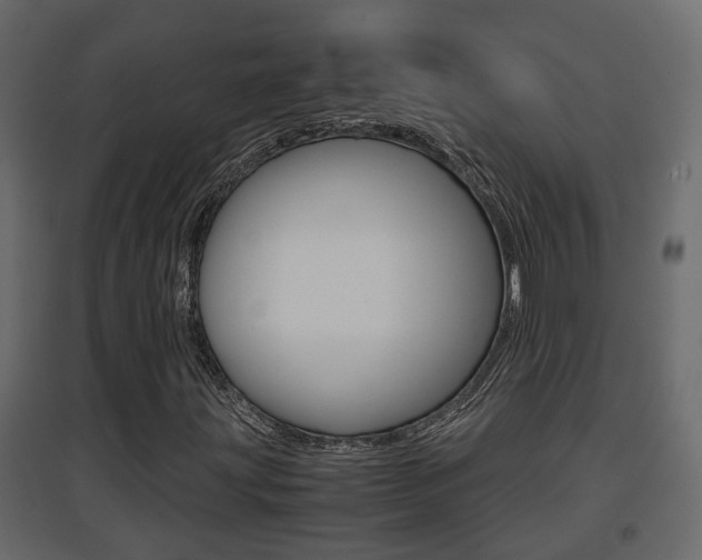 X0000094971203200711291129