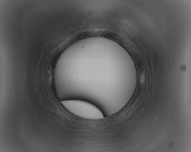 X0000094971204200711291129