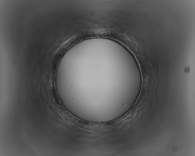 X0000094971205200711291130