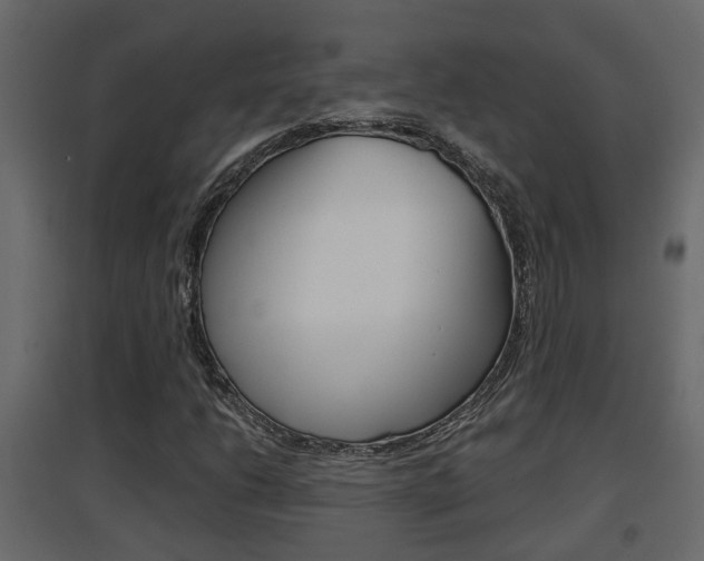 X0000094971206200711291130
