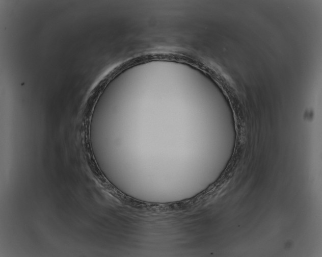 X0000094971208200711291130