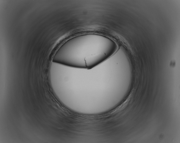 X0000094971210200711291130