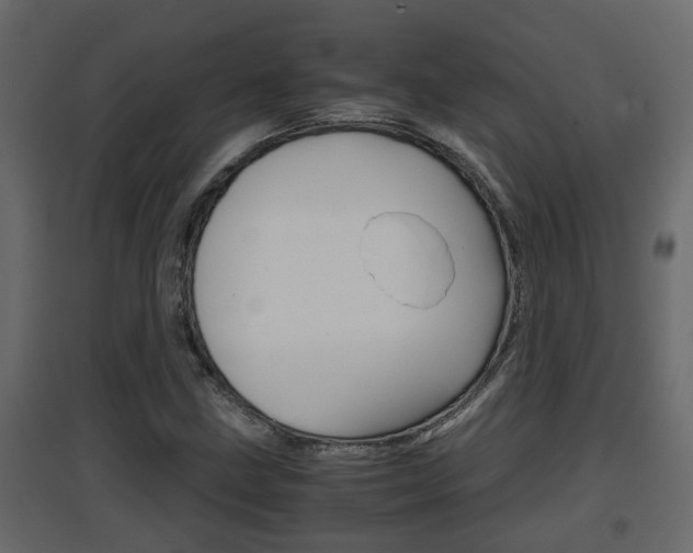 X0000094971211200711291130