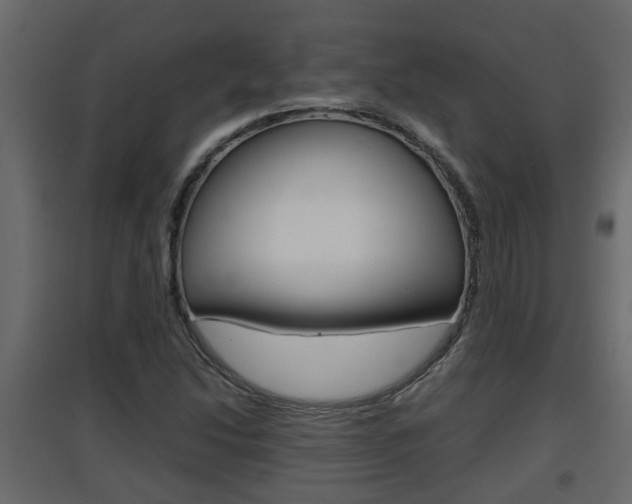 X0000094971214200711291130