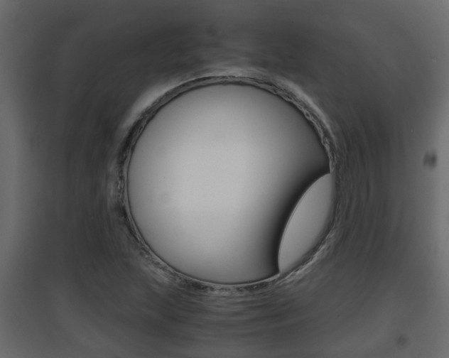X0000094971215200711291130