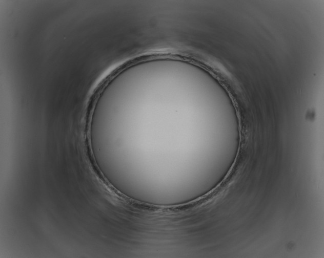 X0000094971216200711291130