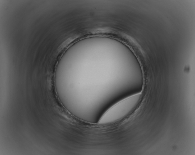 X0000094971217200711291130